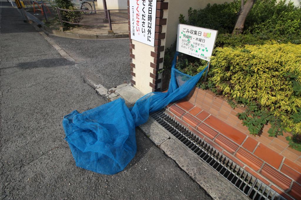 5/15 その他画像