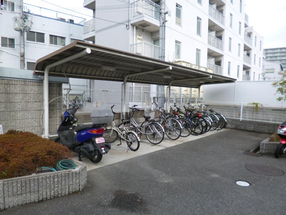 20/30 その他画像