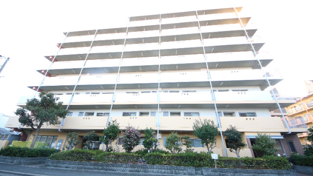 2/6 外観