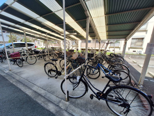 20/30 その他画像