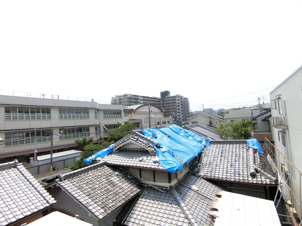 20/30 その他画像