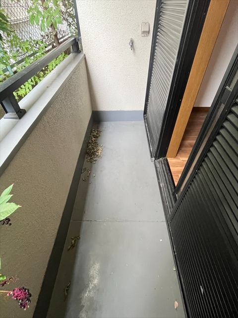 20/30 バルコニー