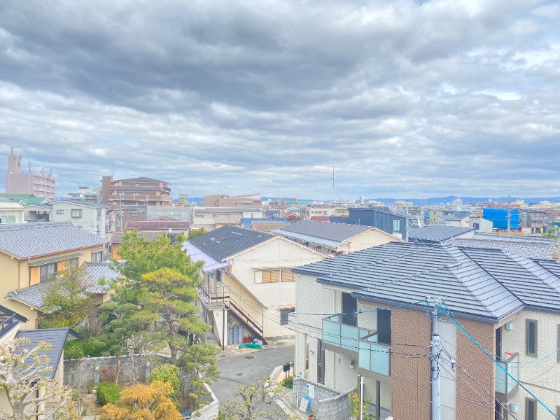 20/30 その他画像