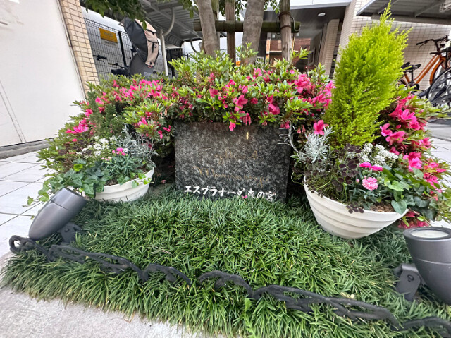 17/30 その他画像