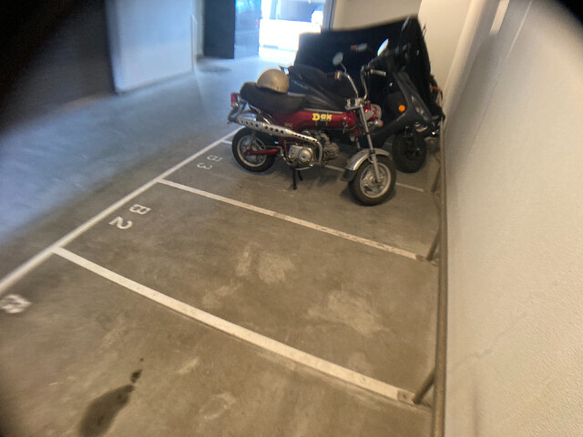 5/14 その他画像