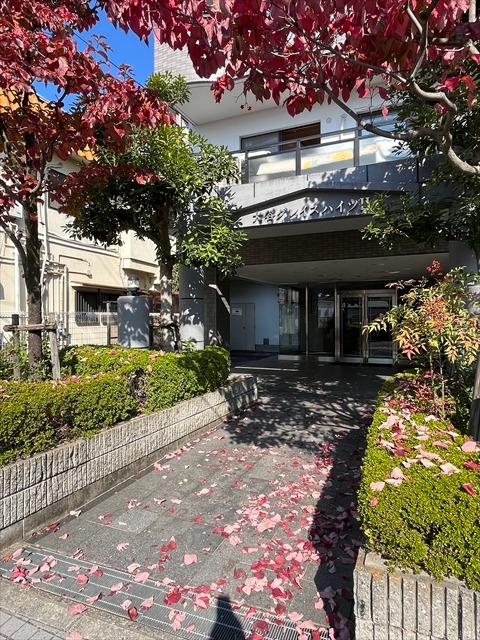 20/30 その他画像