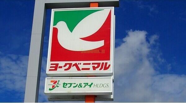 13/19 その他画像