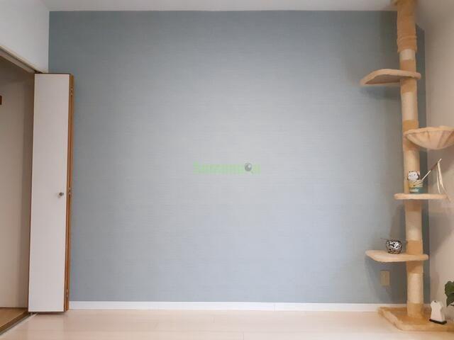 14/25 その他画像