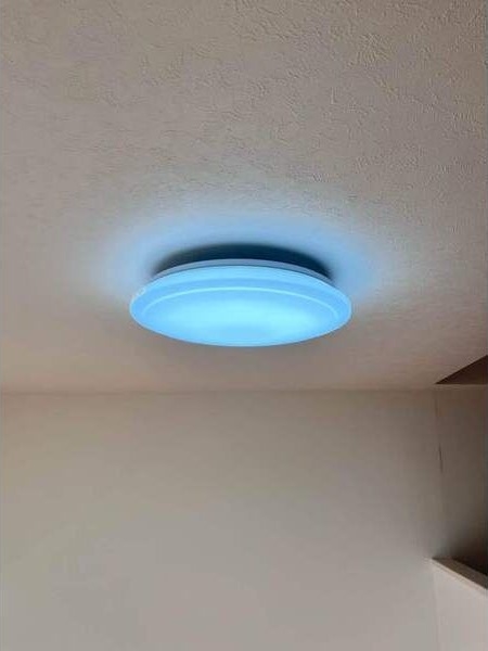 11/18 その他画像