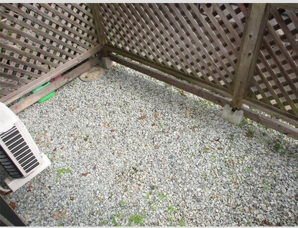 13/19 その他画像