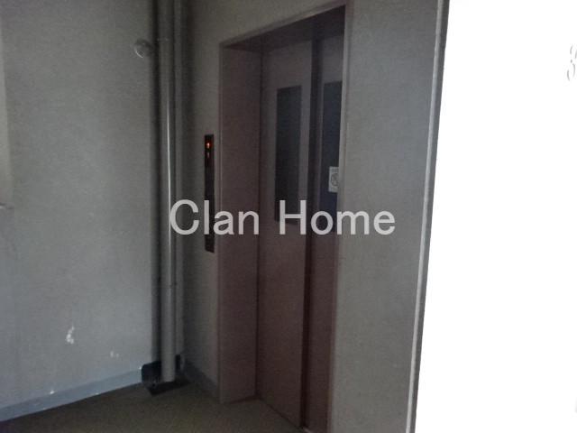 19/29 その他画像