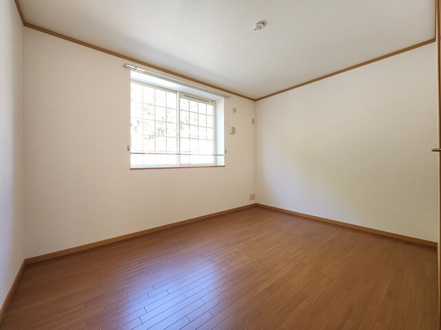 7/20 その他画像