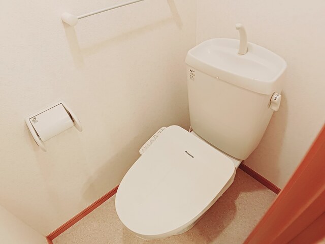 8/20 その他画像