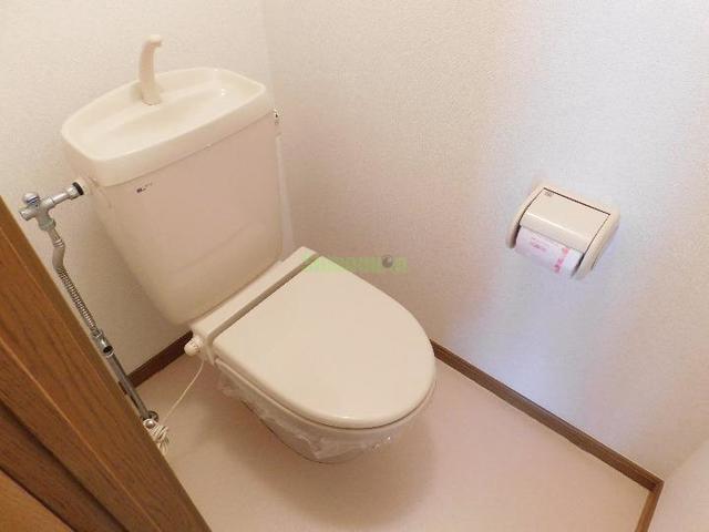 8/20 その他画像