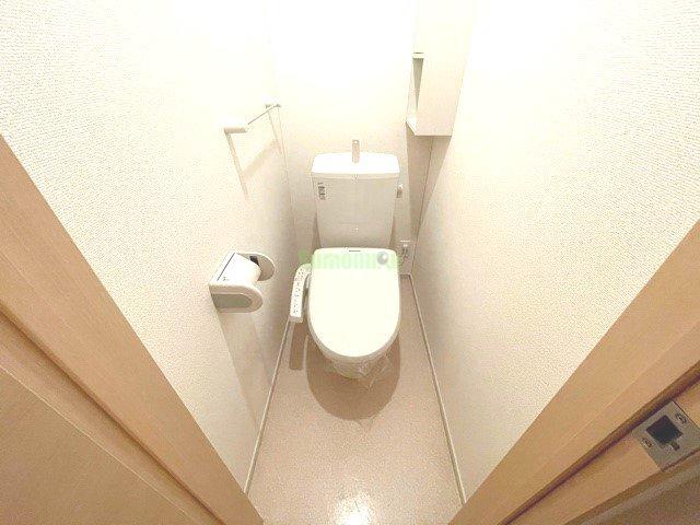 7/20 その他画像