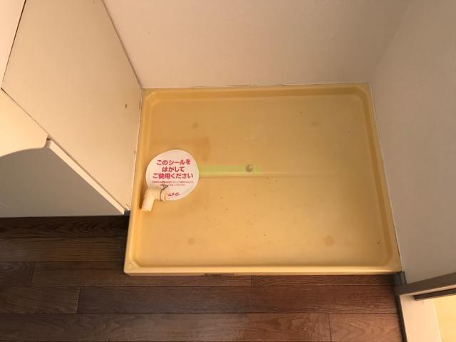 24/29 その他画像