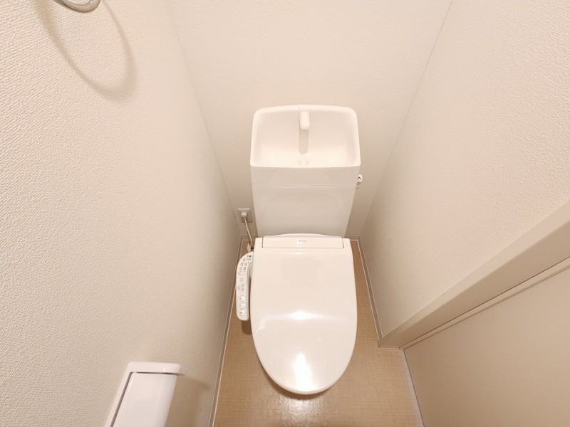 8/20 その他画像