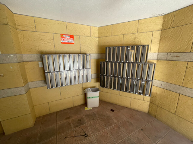 5/17 その他画像