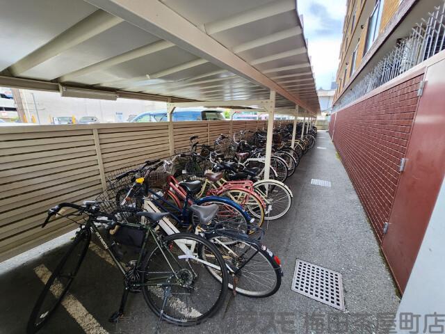 25/30 その他画像