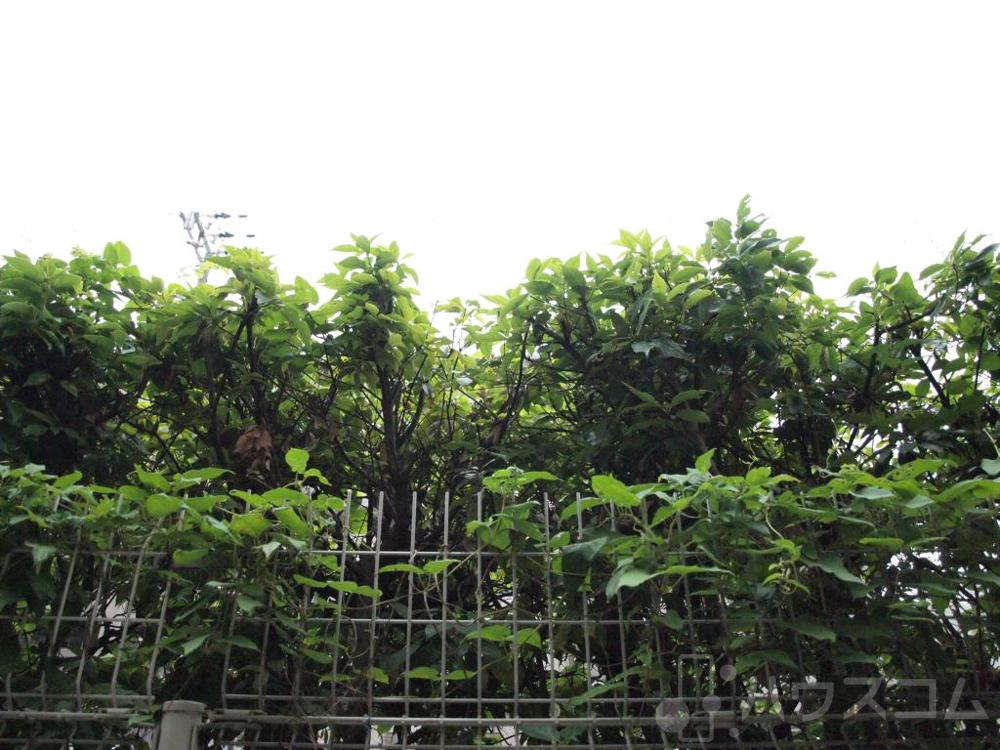 17/30 その他画像