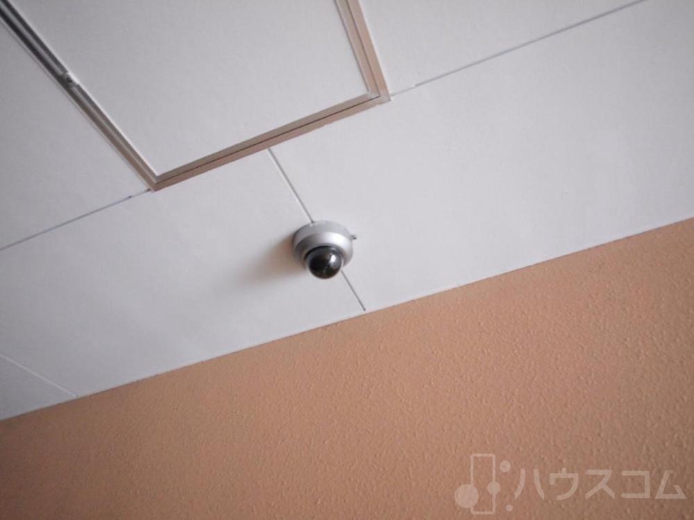 25/29 その他画像