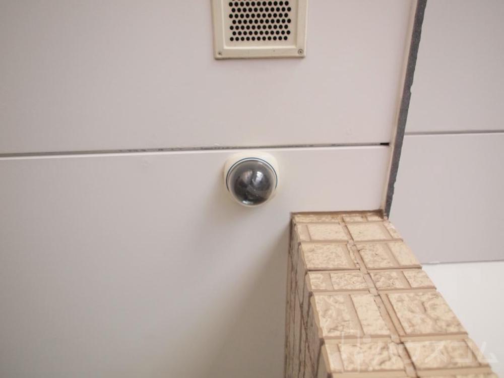 19/26 その他画像