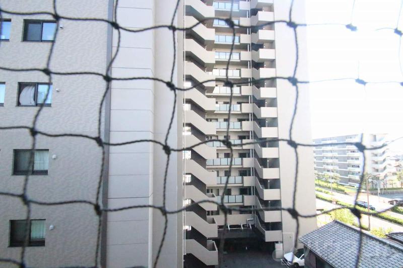 20/30 その他画像