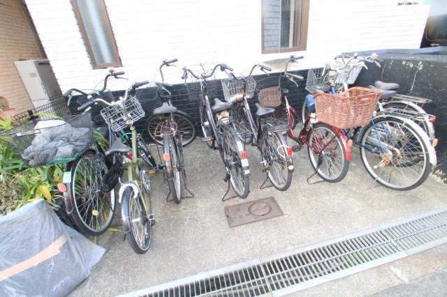 25/30 その他画像