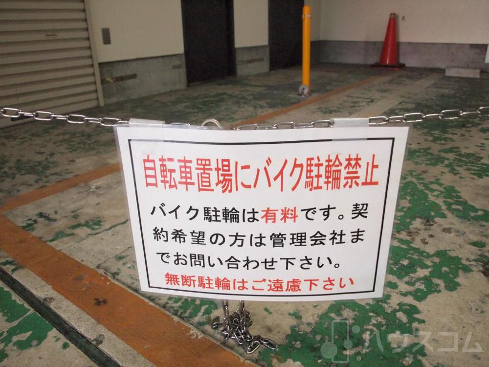 25/29 周辺