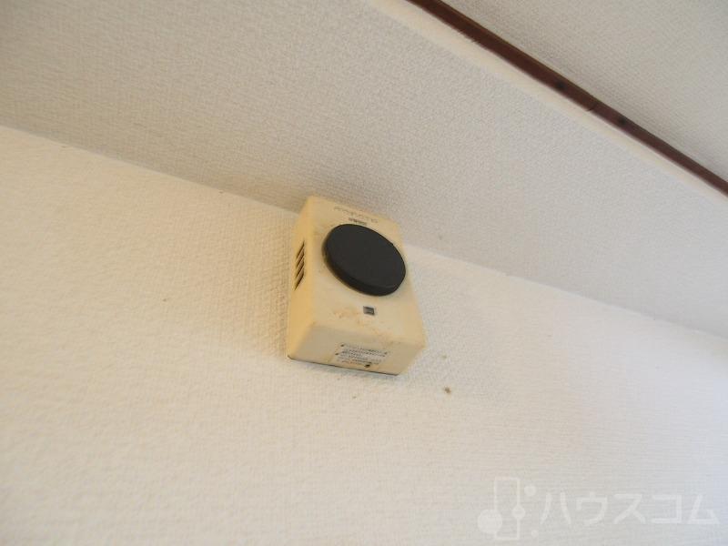 19/25 その他画像