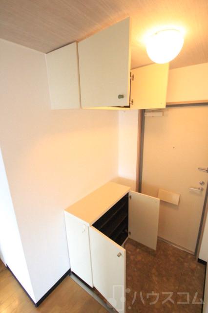 20/30 その他画像