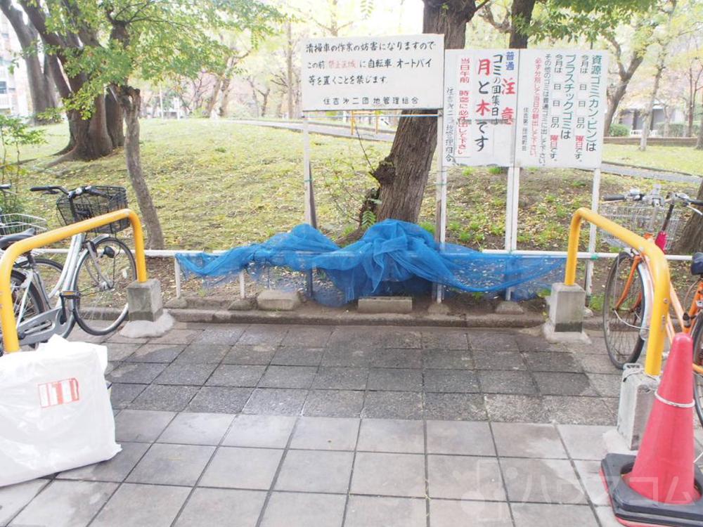 25/30 その他画像