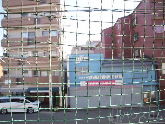 20/30 その他画像