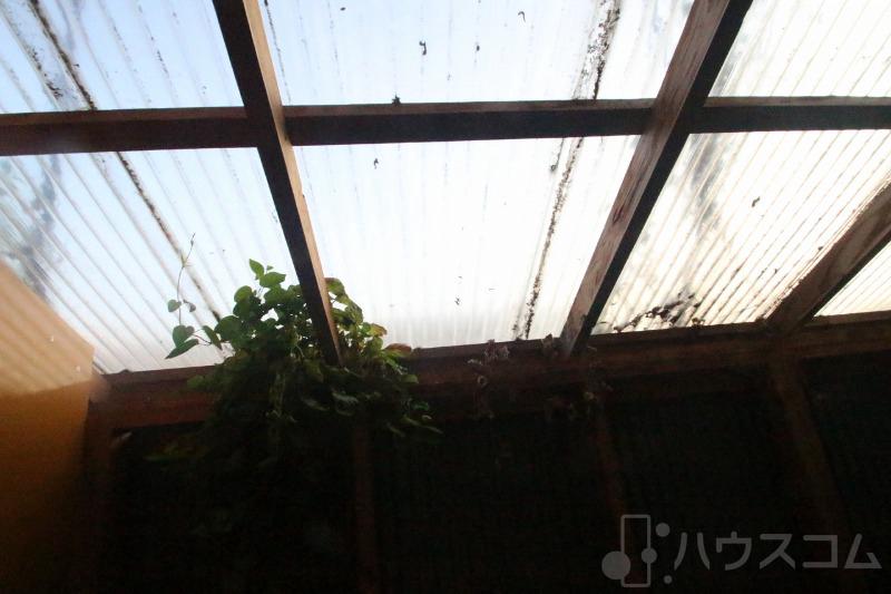 19/29 その他画像