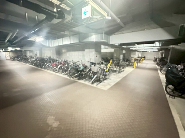 5/20 その他画像