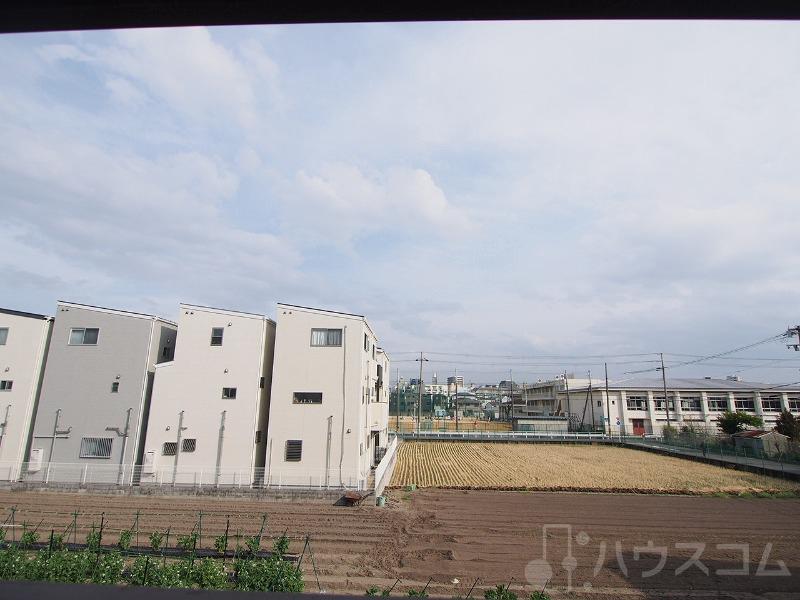 20/30 その他画像