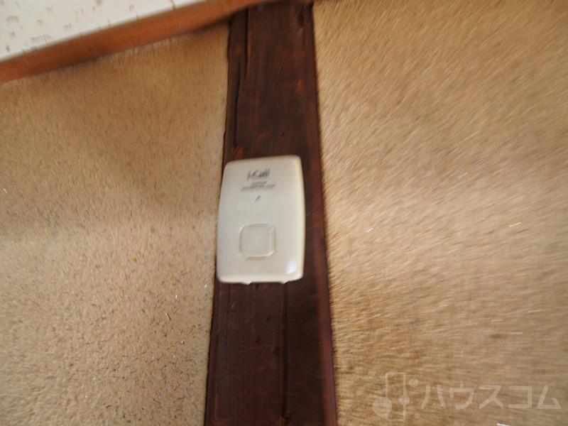 17/29 その他画像