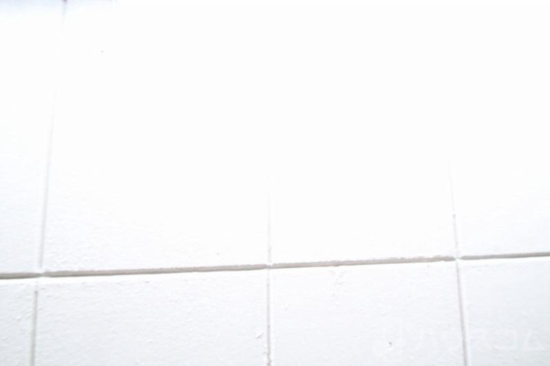 17/29 その他画像