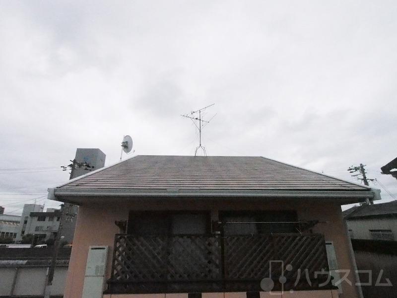 20/30 その他画像