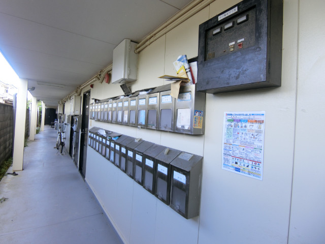 20/30 その他画像