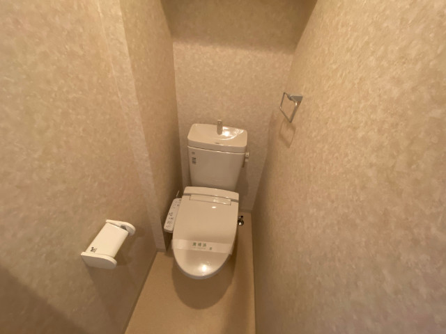 11/30 トイレ