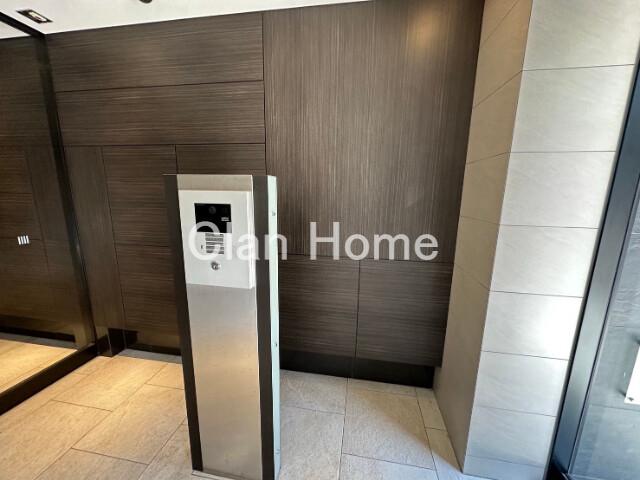 5/19 その他画像