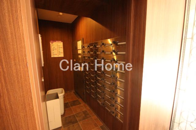 5/19 その他画像