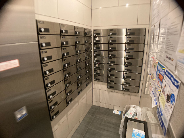 6/19 その他画像