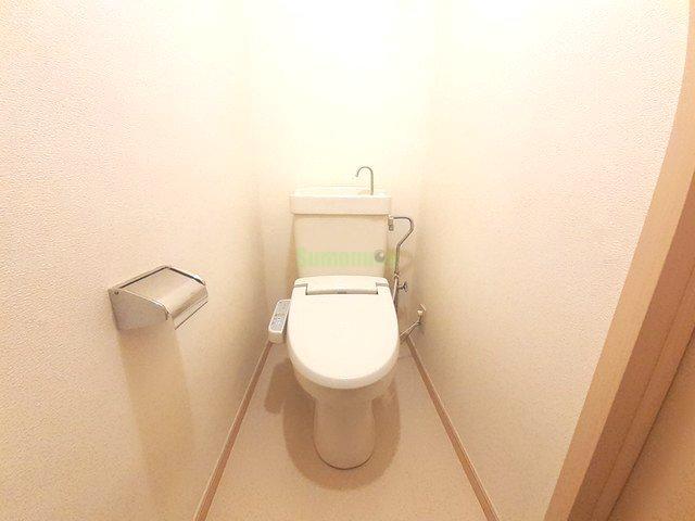 8/20 その他画像