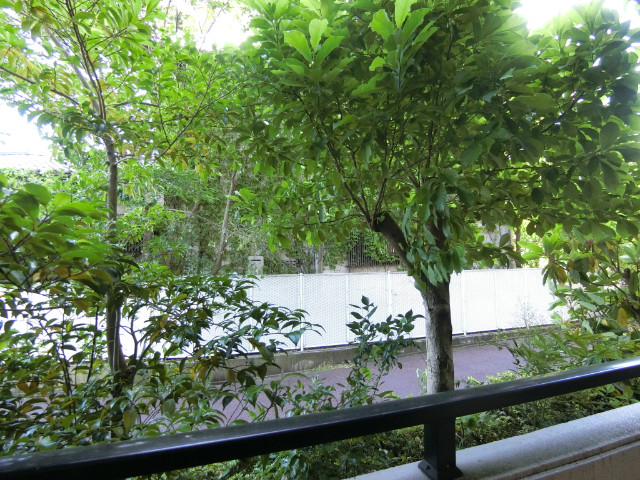 18/30 その他画像