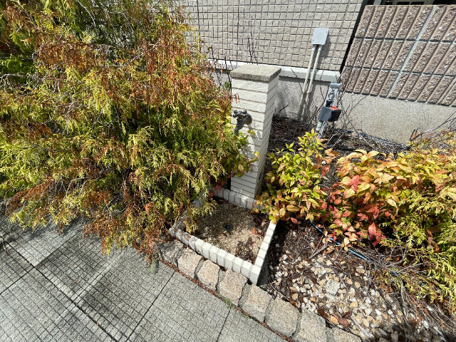 16/20 その他画像