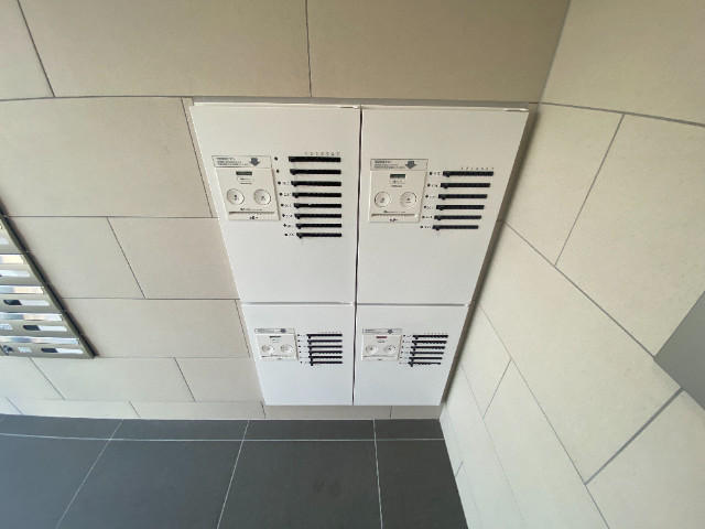 3/19 その他画像