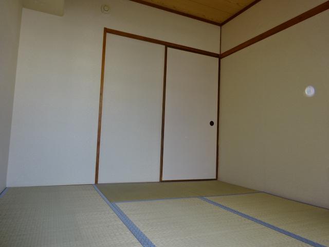 29/30 その他画像