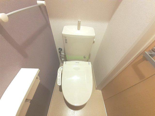 8/20 その他画像